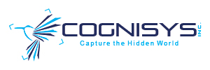 Cognisys