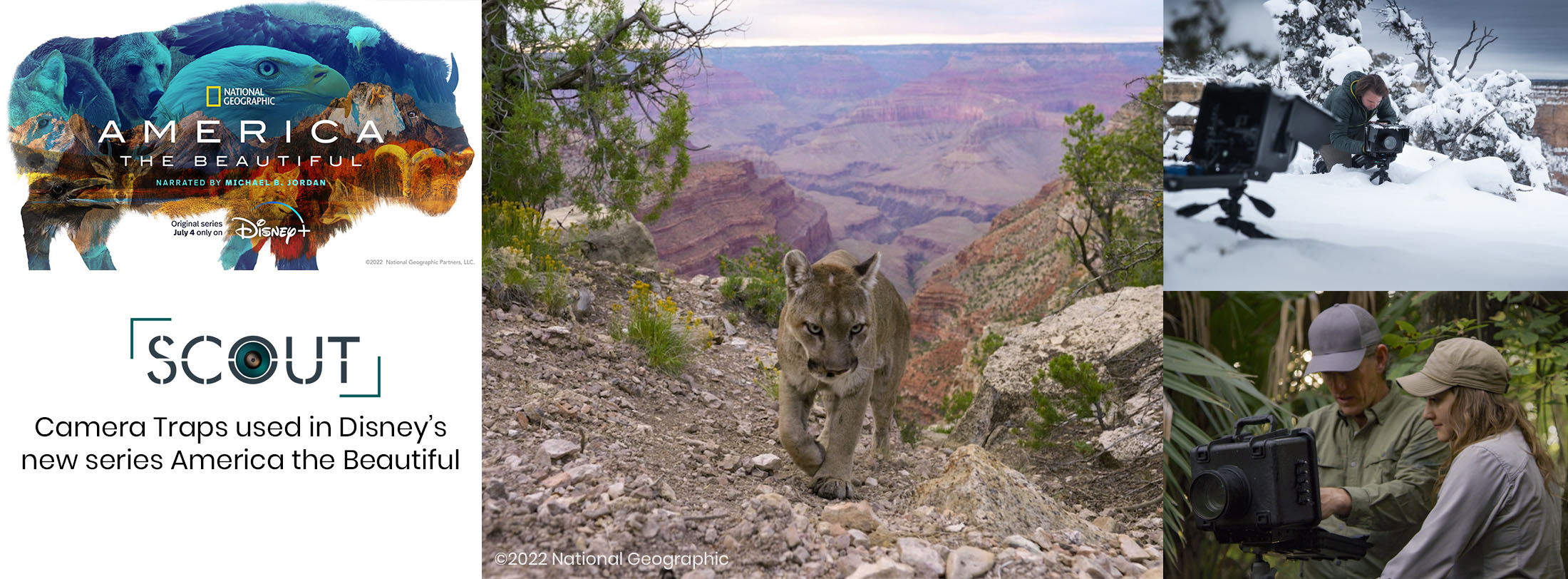 Scout Camera Traps used in Disney's America the Beautiful