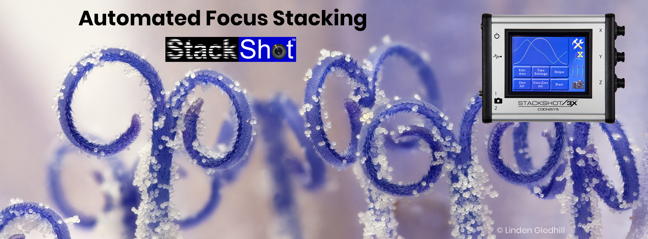 Focus Stacking Banner