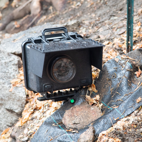 Camera Box Set Up for Mountain Lions