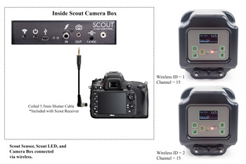 Connecting Scout LED to the Cam Box