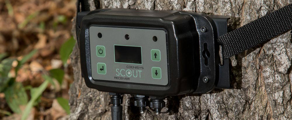 Scout - Camera Trapping System